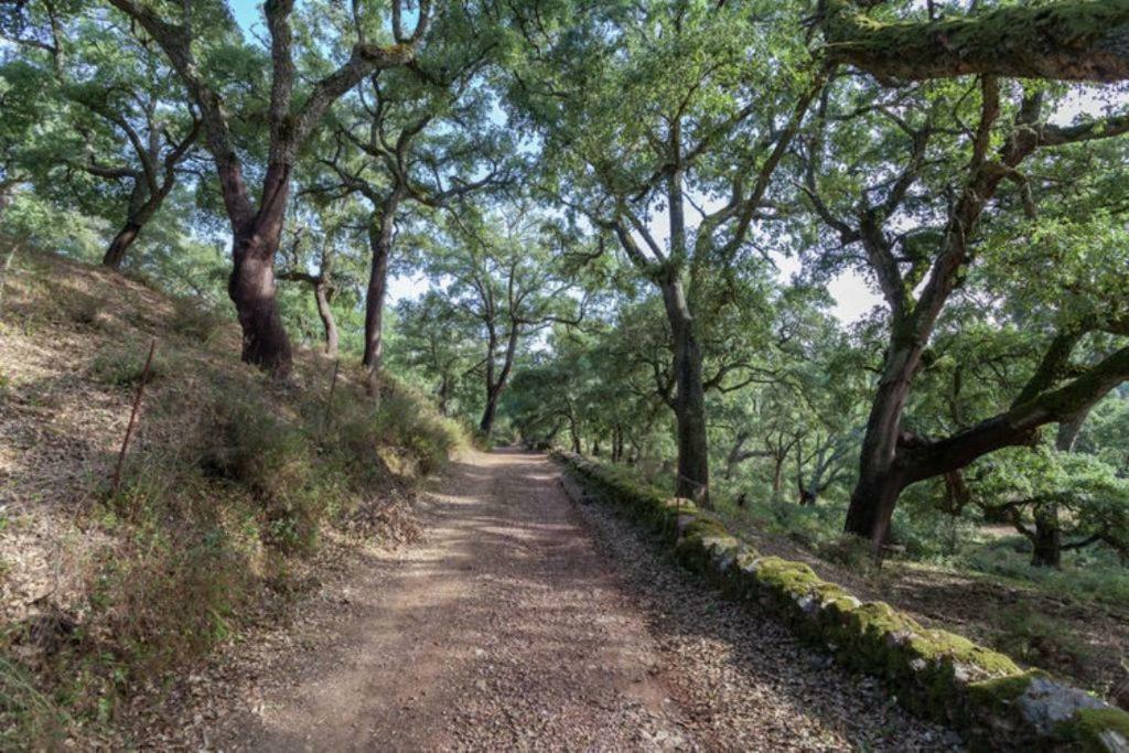 Finca Montemateo Navahermosa  Eksteriør bilde